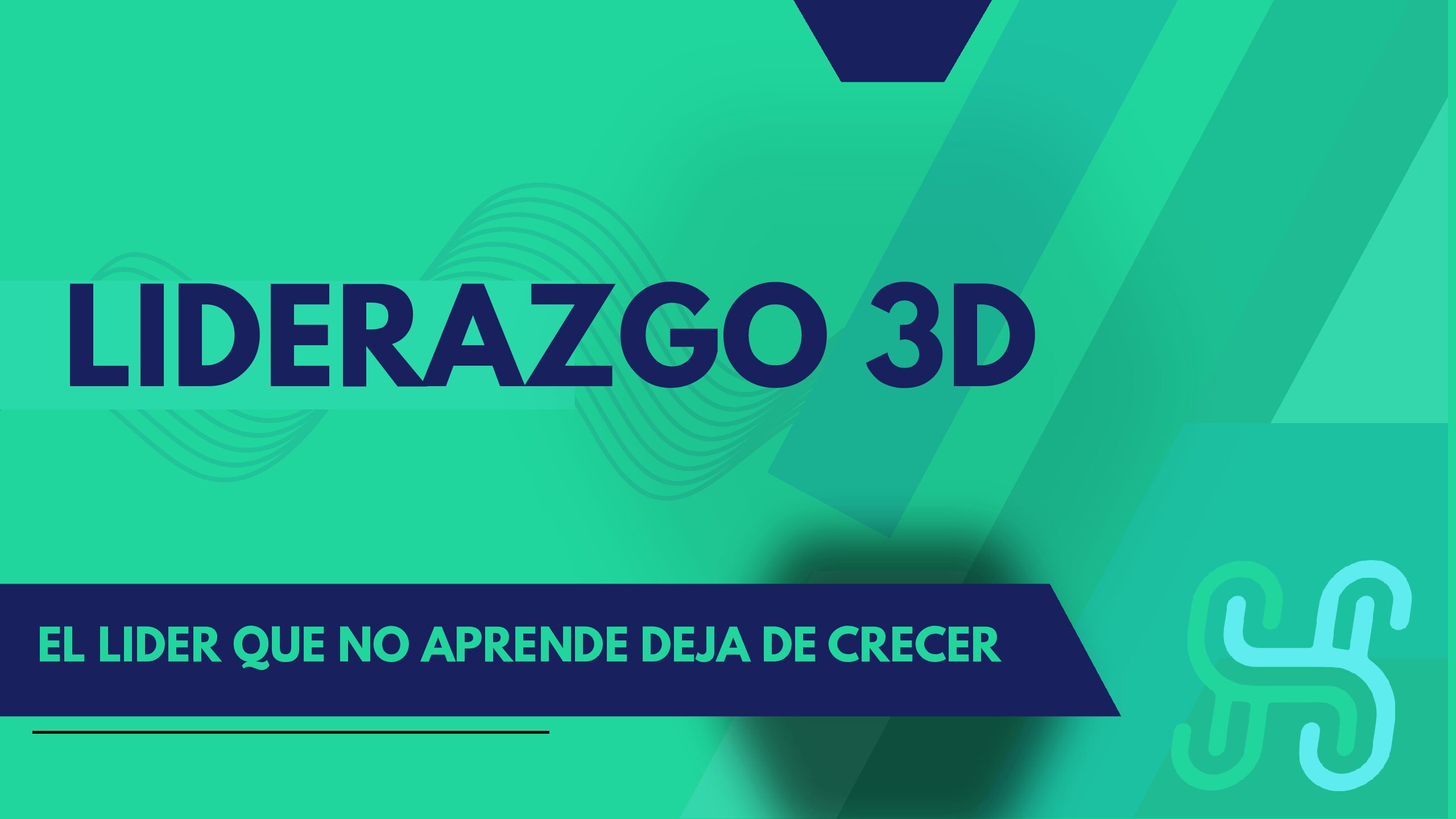 Liderazgo 3D